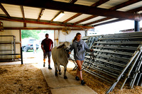 Saline County Livestock | 2022